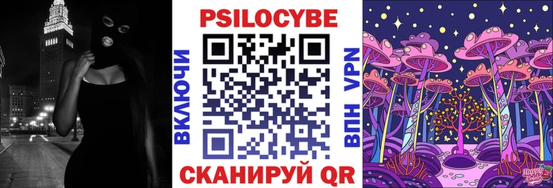 Псилоцибиновые грибы Cubensis  Чкаловск 